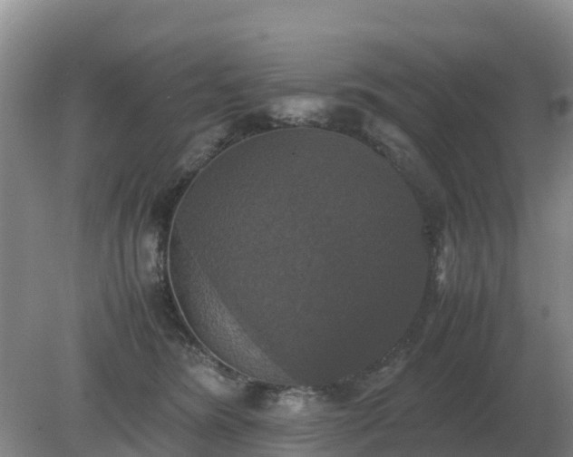 X0000079320420200611251809