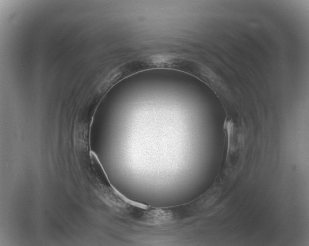 X0000079320421200611251809