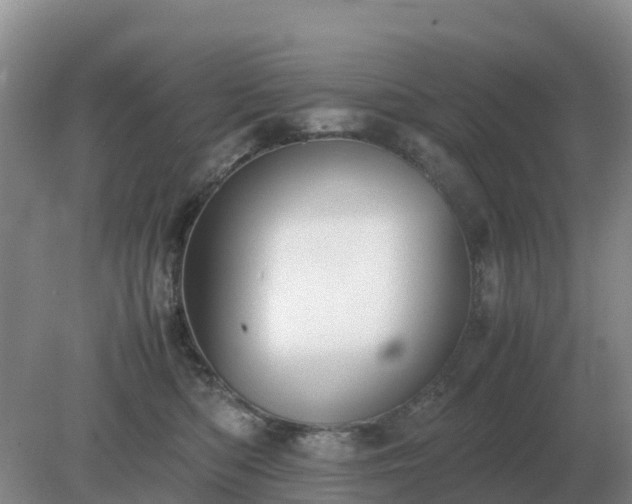 X0000079320422200611251809