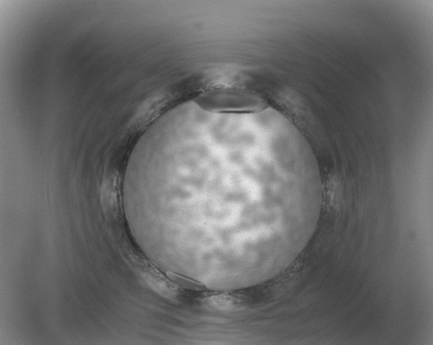 X0000079320423200611251809