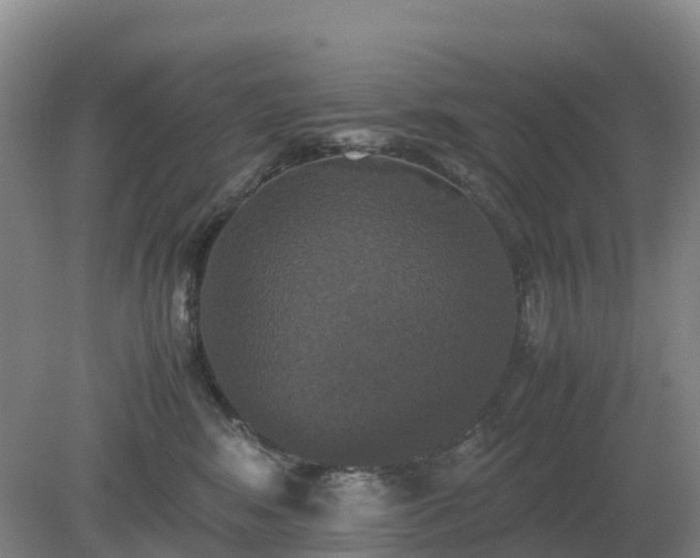 X0000079320424200611251809