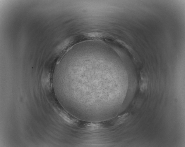 X0000079320428200611251809