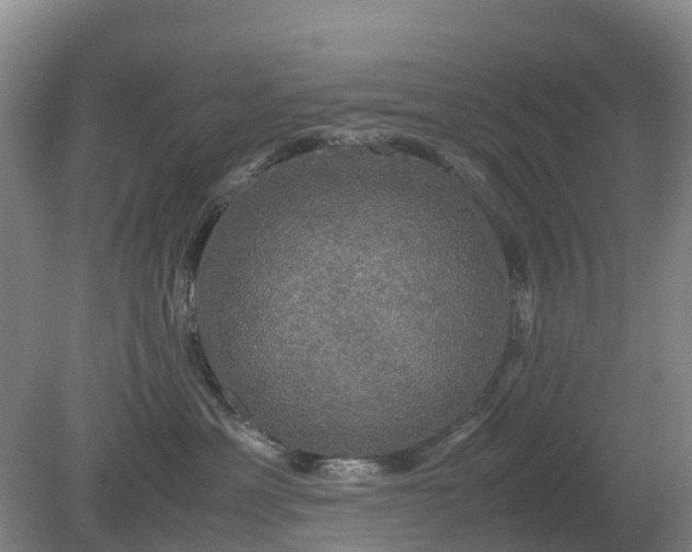 X0000079320429200611251809