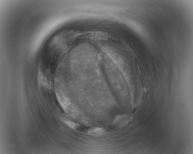 X0000079320431200611251809