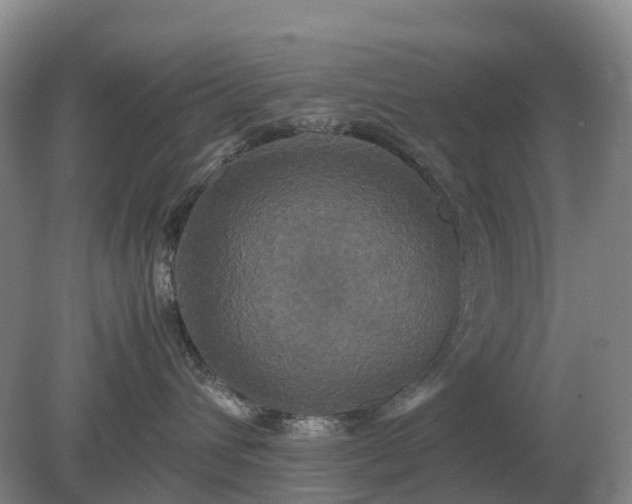 X0000079320432200611251809