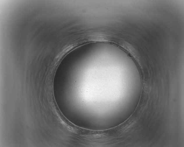 X0000079320433200611251808