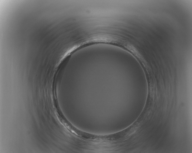 X0000079320434200611251808