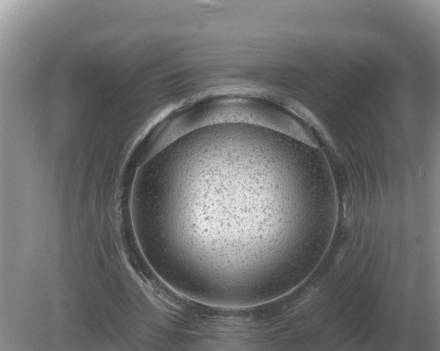 X0000079320436200611251808