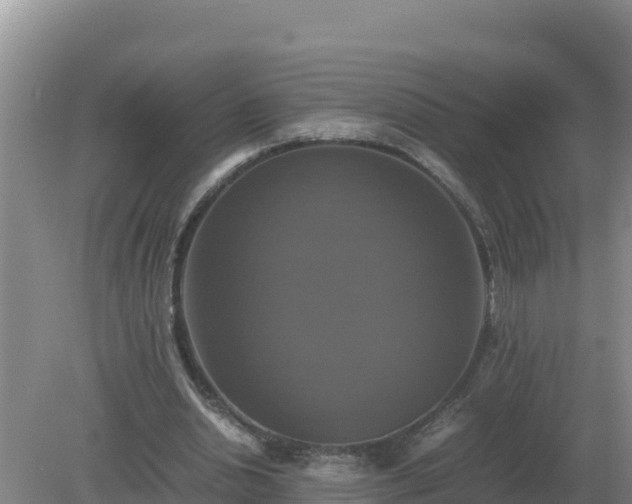 X0000079320438200611251808