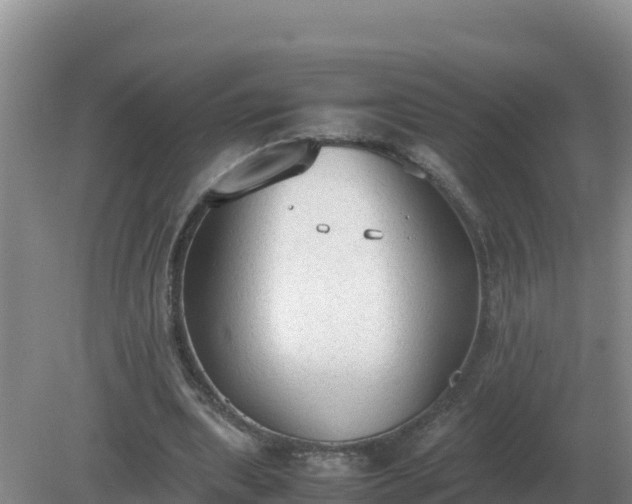 X0000079320439200611251809