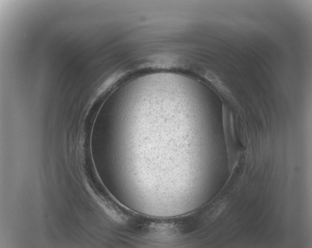 X0000079320440200611251809