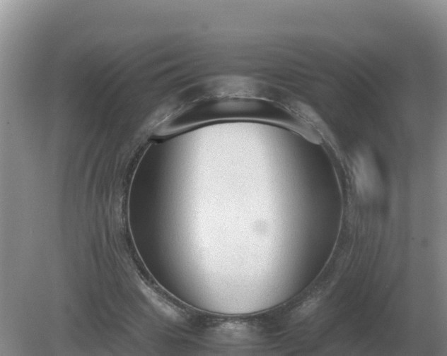 X0000079320441200611251809