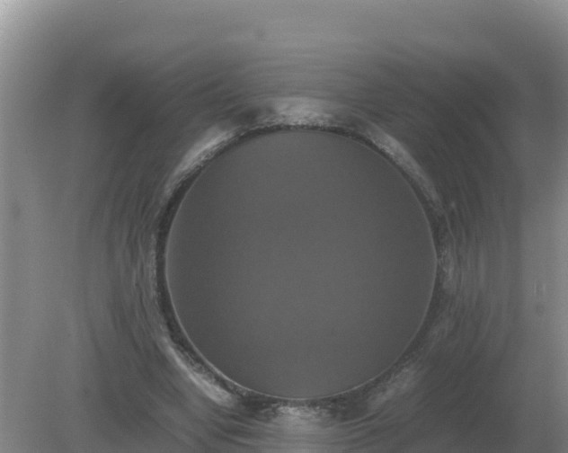 X0000079320442200611251809