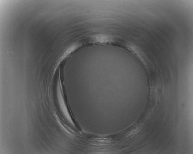 X0000079320443200611251809