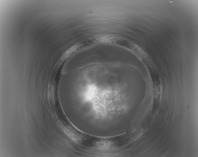 X0000079320444200611251809