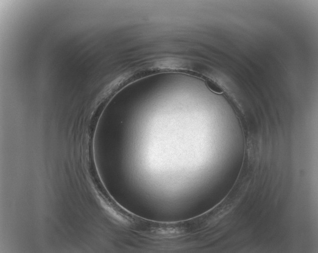 X0000079320445200611251809