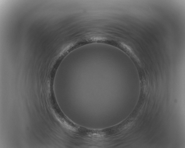 X0000079320447200611251809