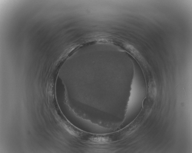 X0000079320449200611251809