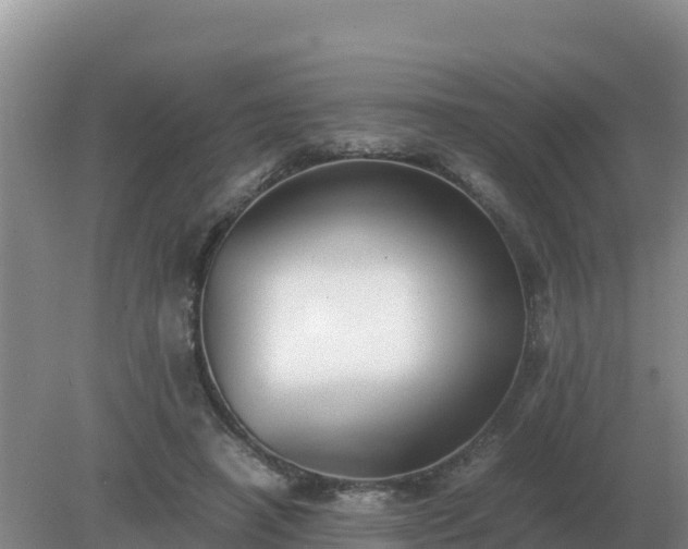 X0000079320450200611251809