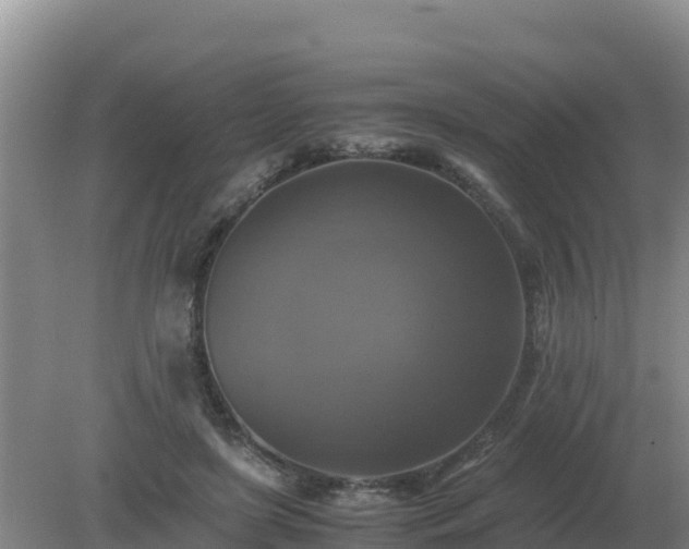 X0000079320451200611251809