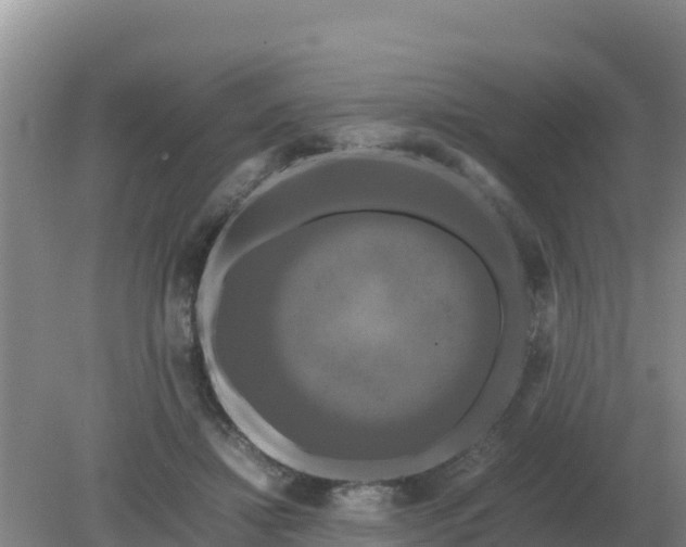 X0000079320452200611251809