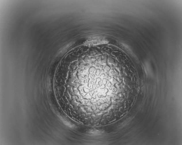 X0000079320453200611251809