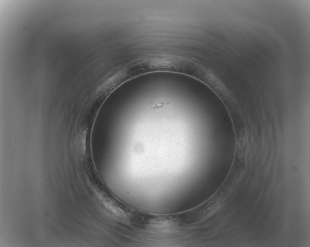 X0000079320454200611251809