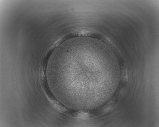 X0000079320456200611251809