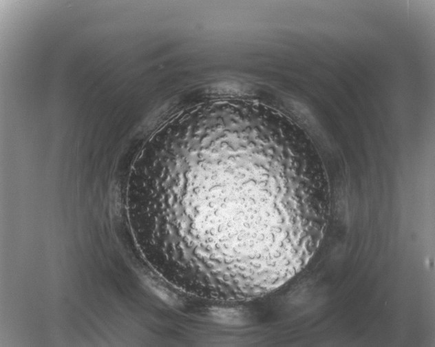 X0000079320457200611251809