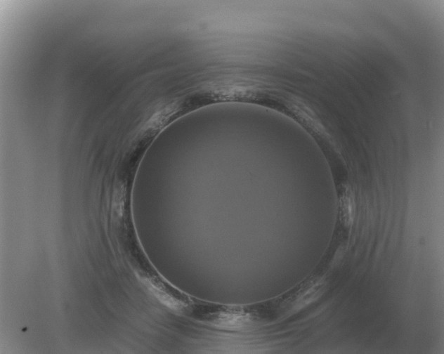 X0000079320458200611251809