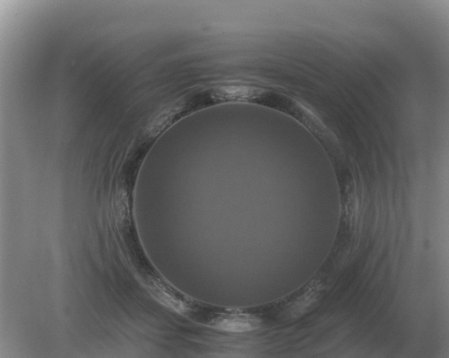 X0000079320459200611251809