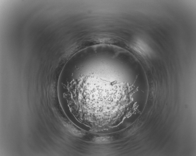 X0000079320461200611251809