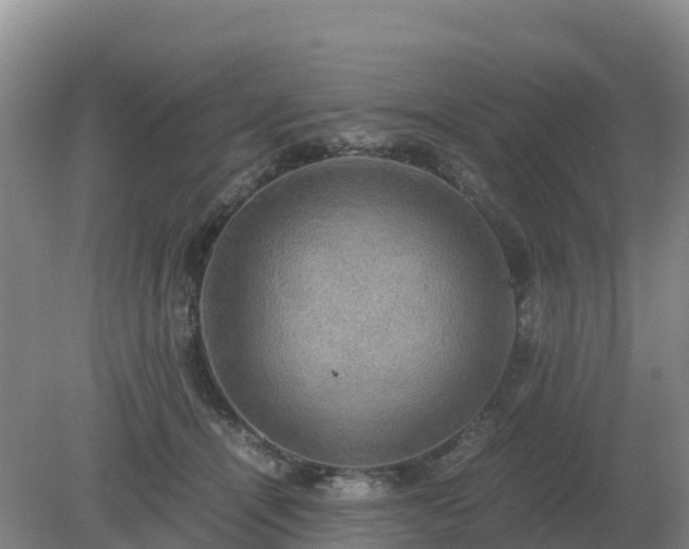 X0000079320464200611251809