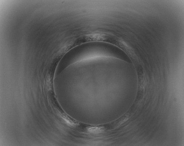 X0000079320465200611251809