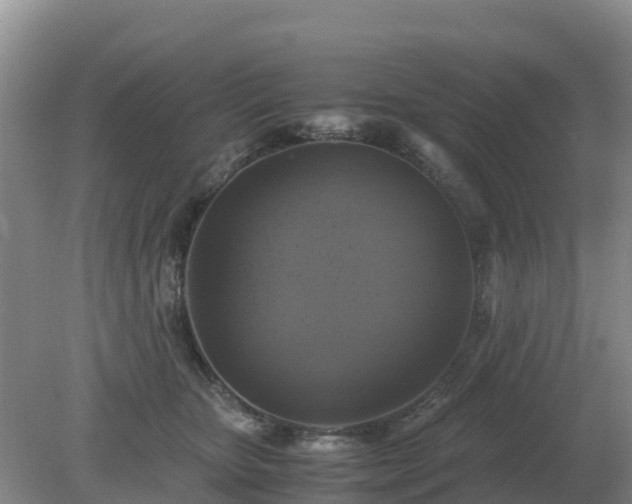 X0000079320467200611251809