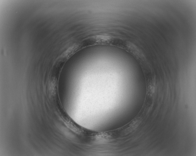 X0000079320468200611251809