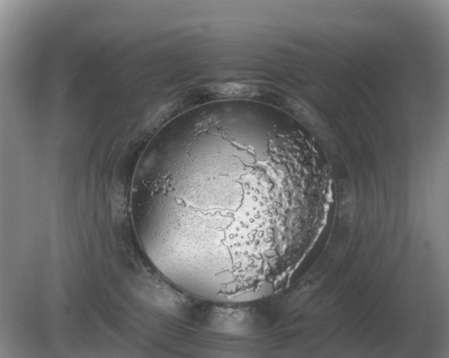 X0000079320469200611251809