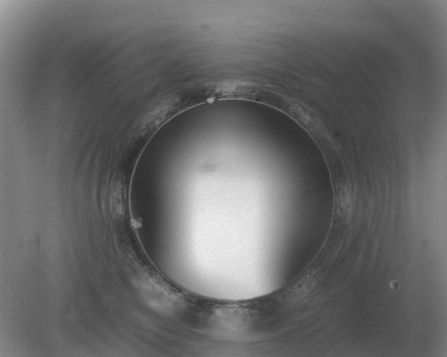 X0000079320470200611251809