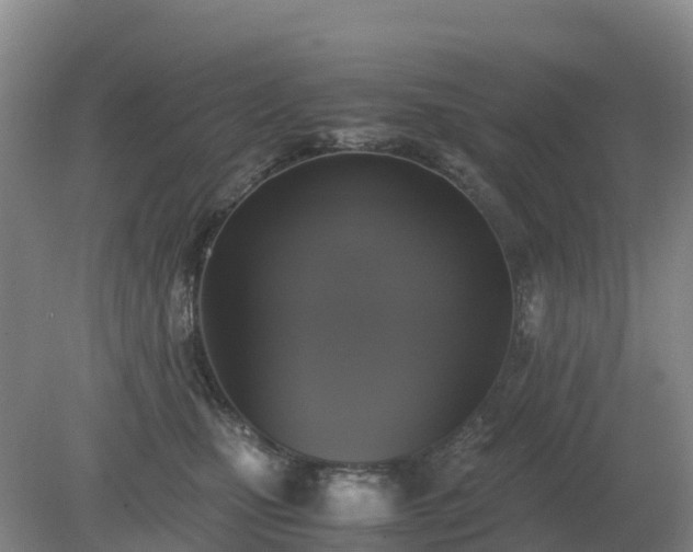 X0000079320471200611251809