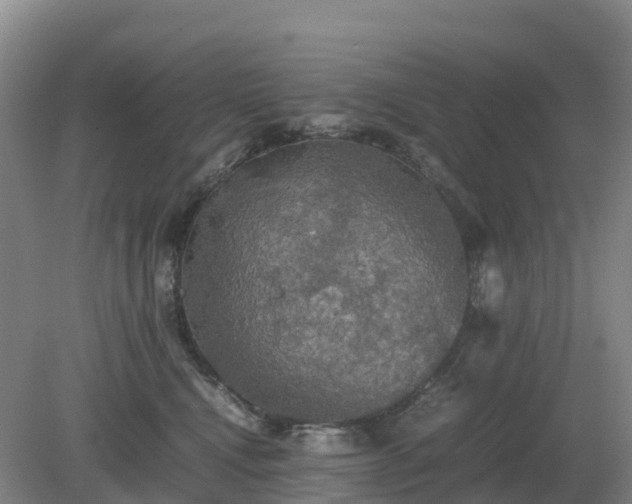 X0000079320472200611251809