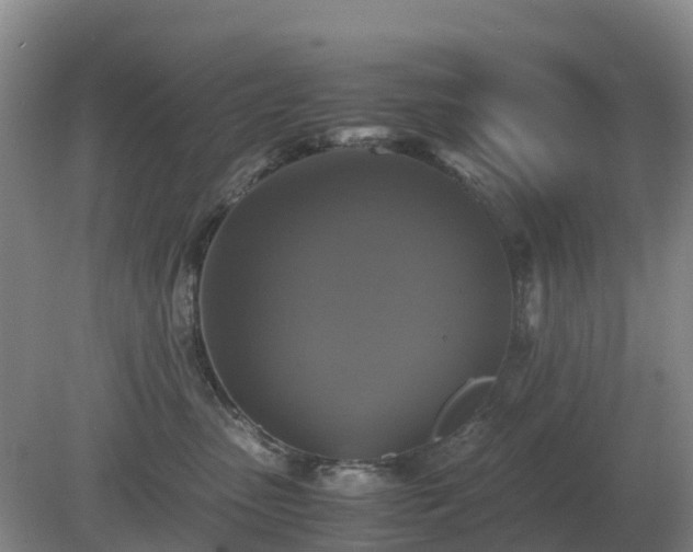 X0000079320475200611251809