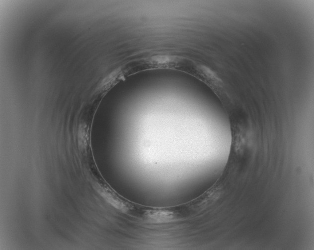 X0000079320476200611251809