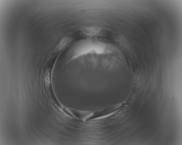 X0000079320479200611251809