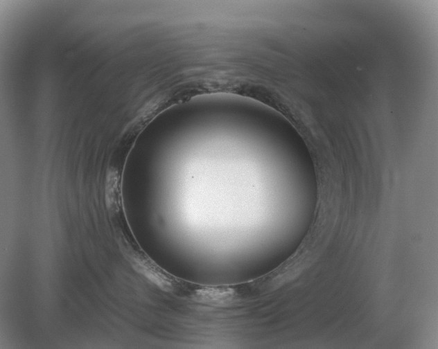 X0000079320480200611251809