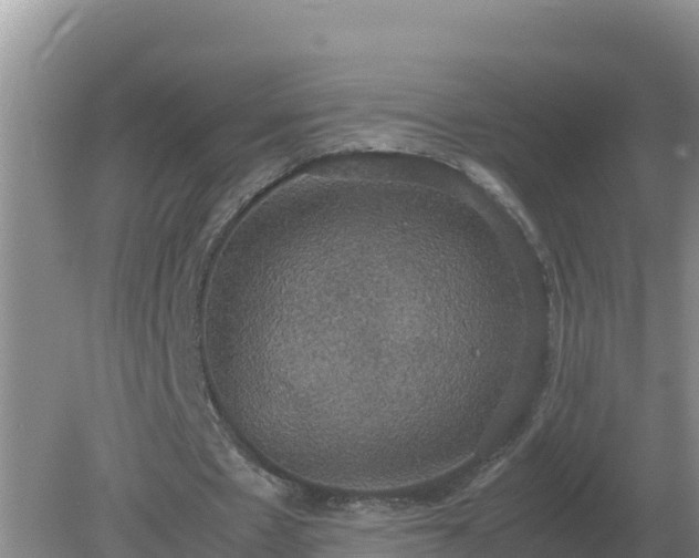 X0000079320481200611251808