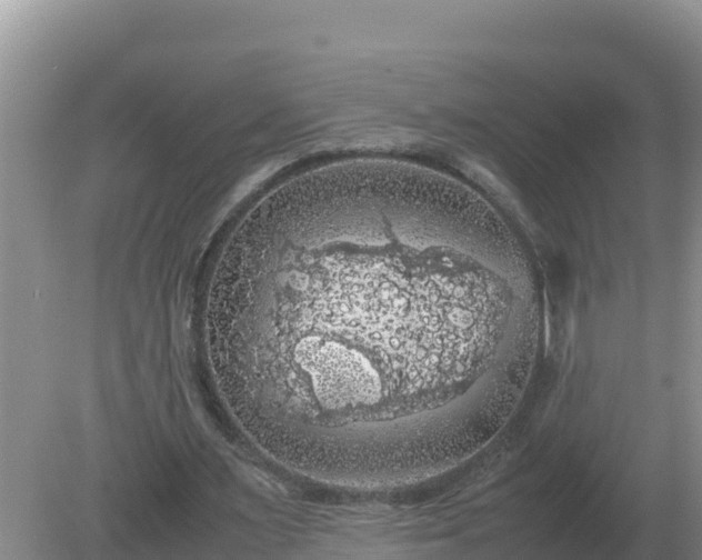 X0000079320483200611251808