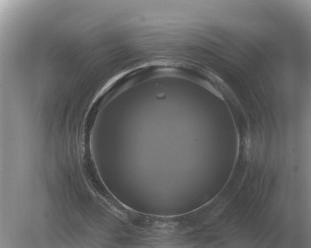 X0000079320484200611251808