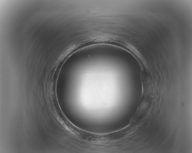 X0000079320485200611251808