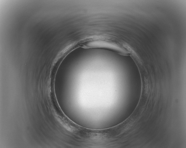 X0000079320486200611251808