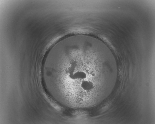 X0000079320487200611251808